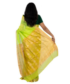 Alternative view of Handwoven Chanderi Silk By Cotton Saree with Silk By Silk Pallu